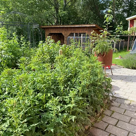 Albpanorama Mit Sauna Und Ausblick Apartamento *